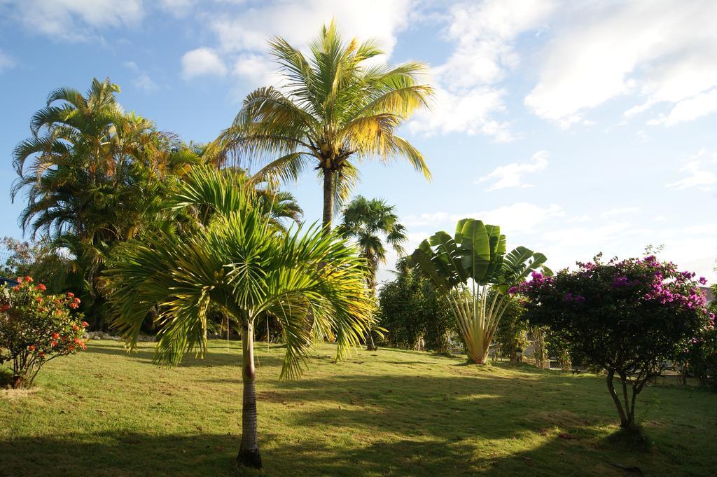 Residence Anamanga Sainte-Anne  Exterior foto